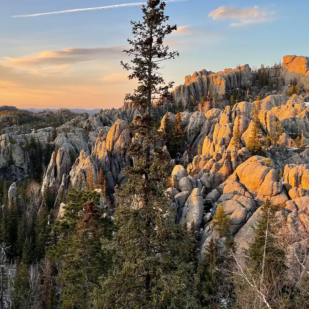 the Black Hills